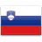 Flag for Slovenia
